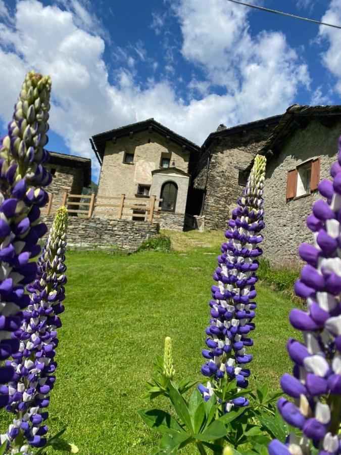 Casa Alpina San Luigi
